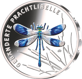 Die Bildseite zeigt die gebänderte Prachtlibelle in Aufsicht. Im Hintergrund scheinen sich Rohrkolben im Wind zu wiegen und bringen dadurch Dynamik ins Bild. Durch die Farbgebung hebt sich die Libelle deutlich in den Vordergrund. Der Schriftzug „Gebänderte Prachtlibelle“ wird entlang des Münzrunds gesetzt.