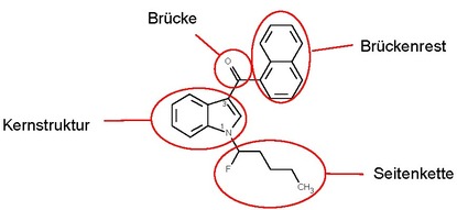 Strukturformel eines komplexen Moleküls mit rot umrandeten Gliedern: Kernstruktur, Brücke, Brückenrest und Seitenkette.