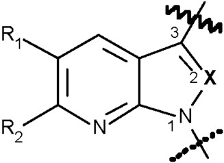 Kernstruktur der 7-Aza-Derivate