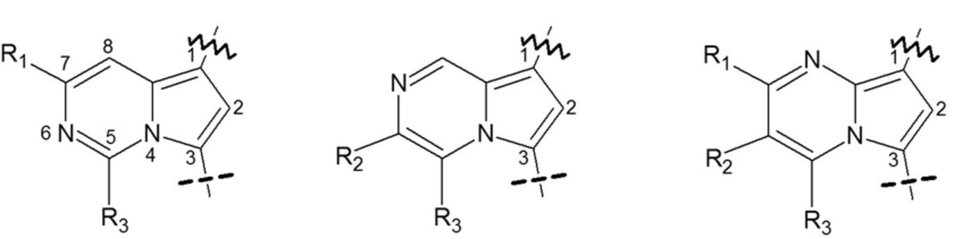 Kernstruktur der chemischen Verbindung 6-, 7-, 8-Azaindolizin-1,3-diyl